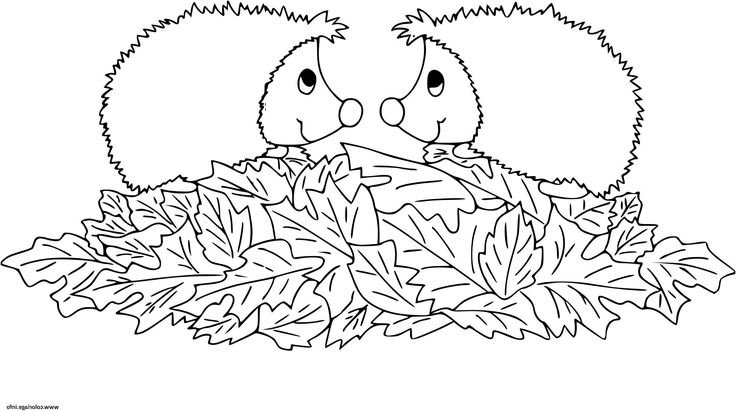 Картинка Ёжика для детей раскраска