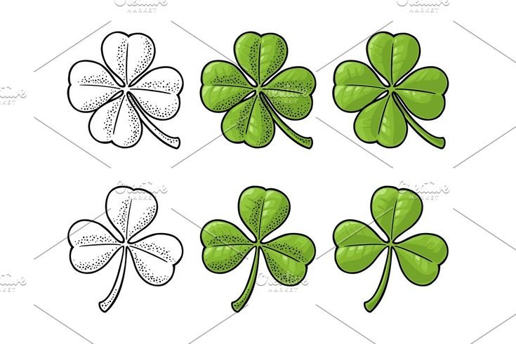 Клевер Графика четырехлистный