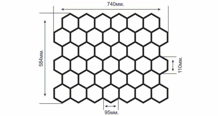Строение пчелиного сота