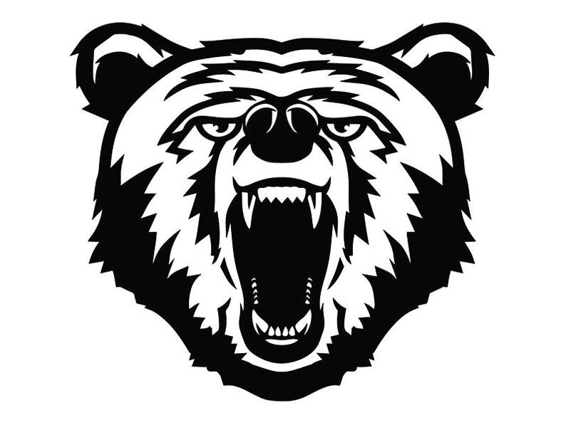 Голова медведя