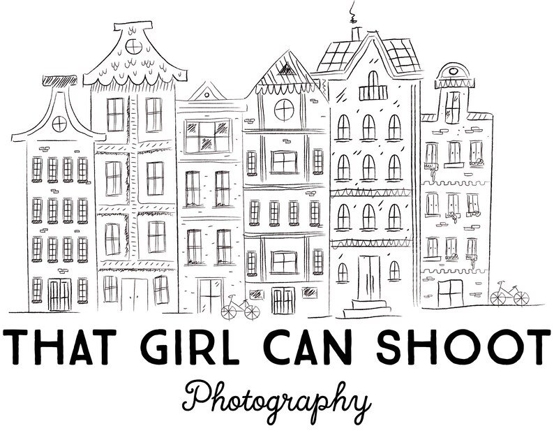 Голландские домики вектор