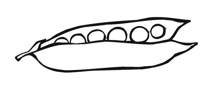 Стручок гороха раскраска