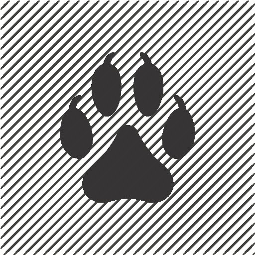 Отпечаток волчьей лапы