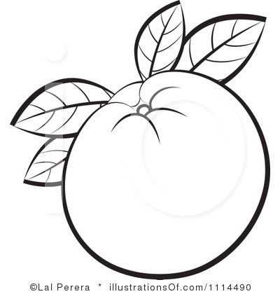 Апельсин черно белый