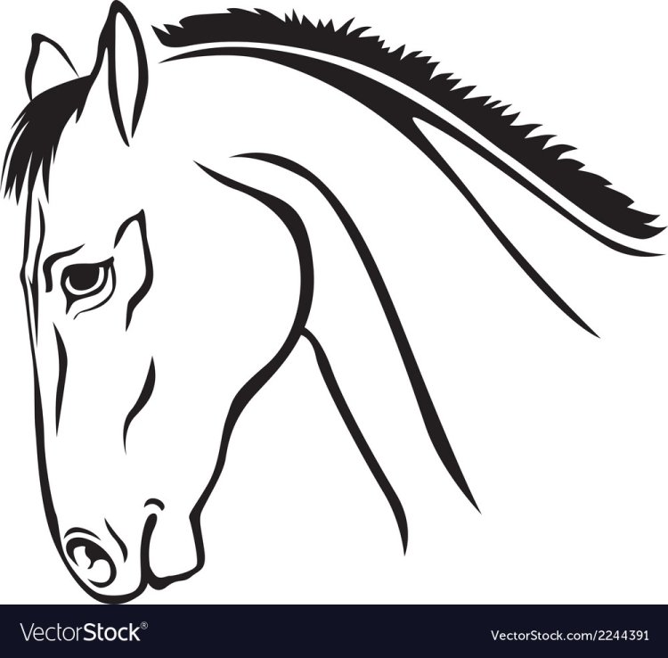 Голова лошади рисунок