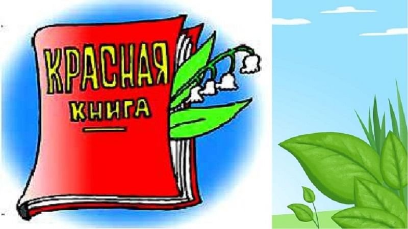 Надпись красная книга