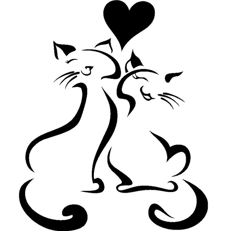 Влюбленные коты