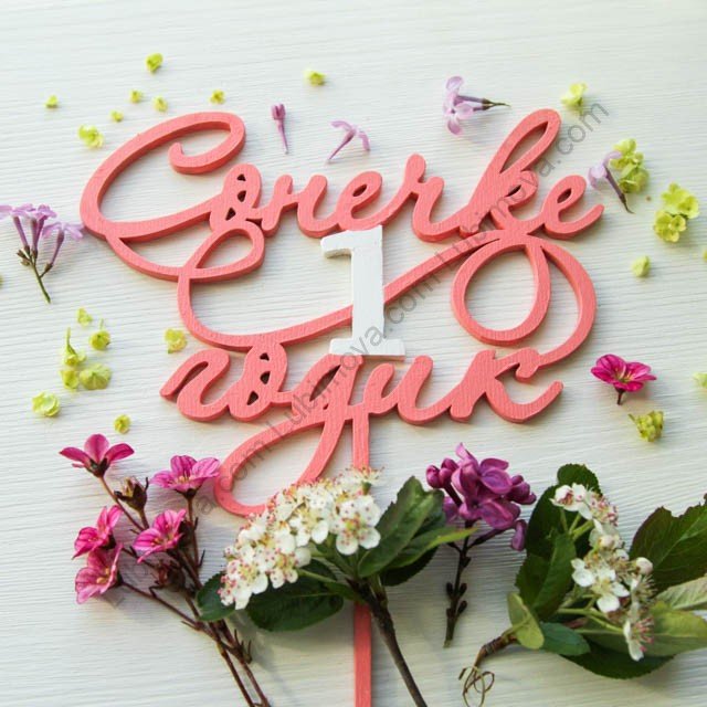 Софии 1 годик