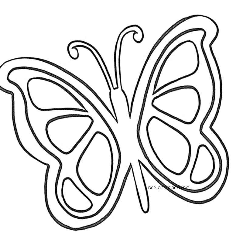 Контуры бабочек для декора
