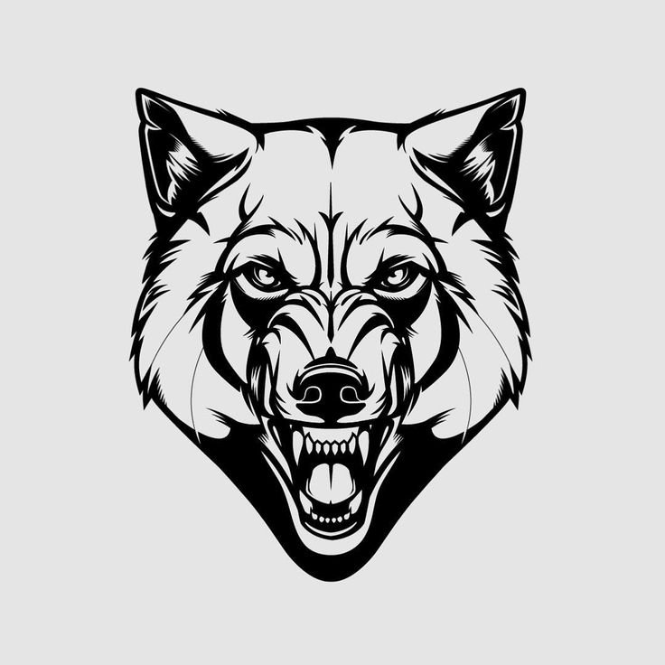 Морда волка