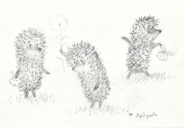 «Ёжик в тумане» Юрия Норштейна