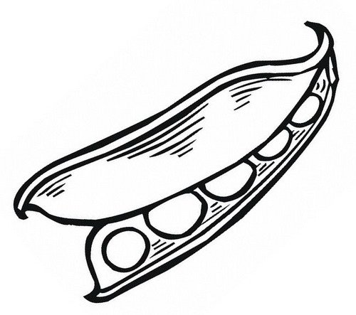 Гороховый стручок раскраска