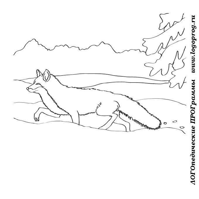 Лиса раскраска для детей