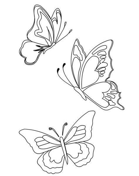 Бабочка контур