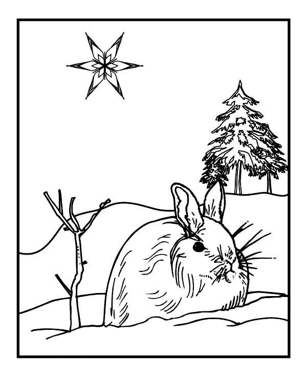 Животные зимой раскраска для детей