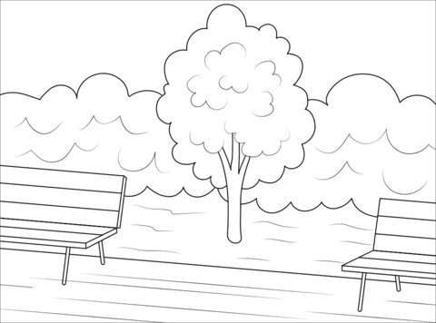 Рисунок парка