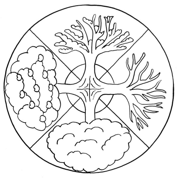 Раскраска сезоны года