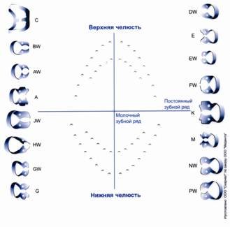 Зубная формула для коффердама