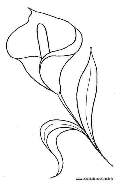Трафарет цветка каллы