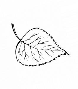 Березовый лист трафарет