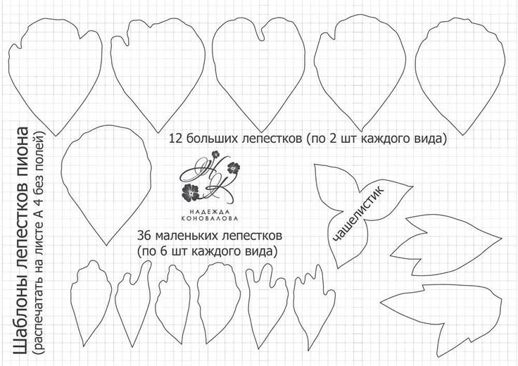 Шаблоны Цветов Из Бумаги