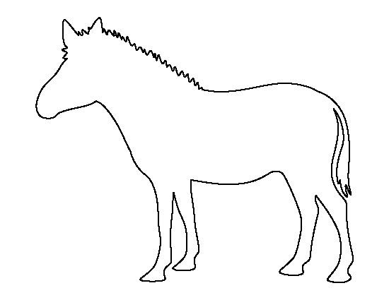 Зебра без полосок раскраска для детей