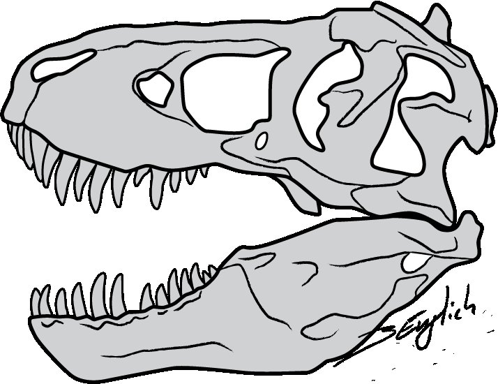 Череп динозавра Тирекс