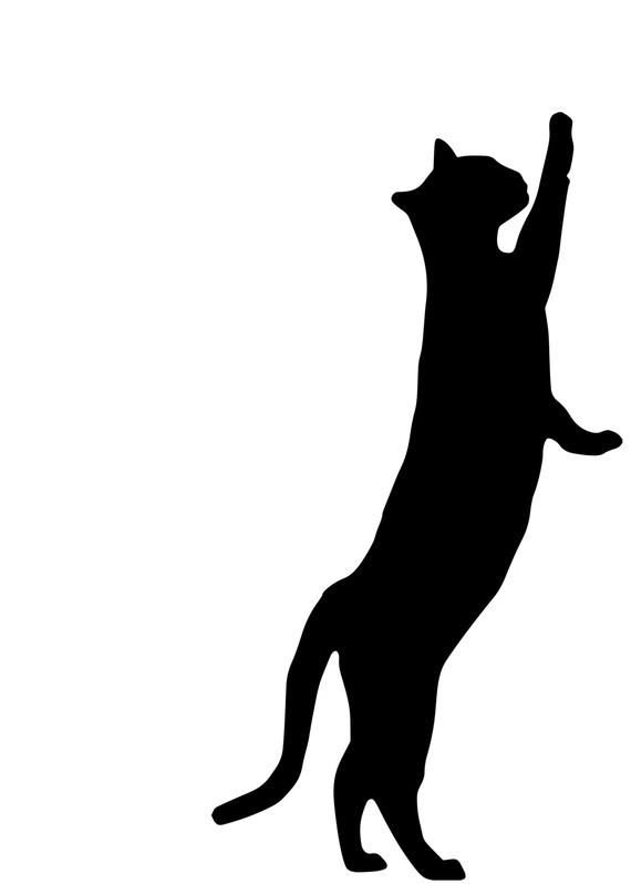 Кот на задних лапах силуэт