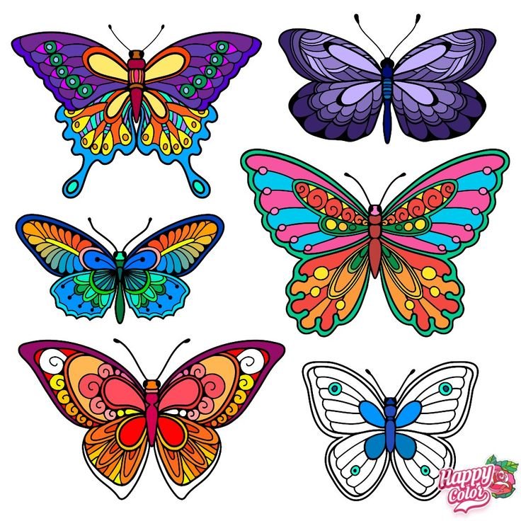 Бабочки для вырезания цветные
