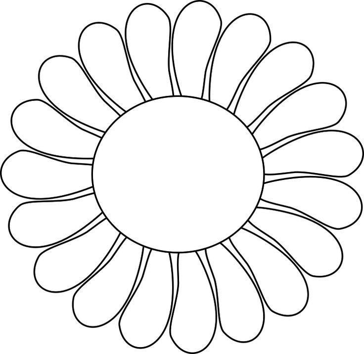Трафарет ромашки для раскрашивания