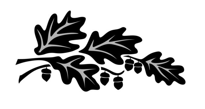 Орнамент листья