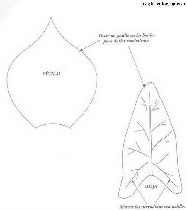 Лист антуриума шаблон