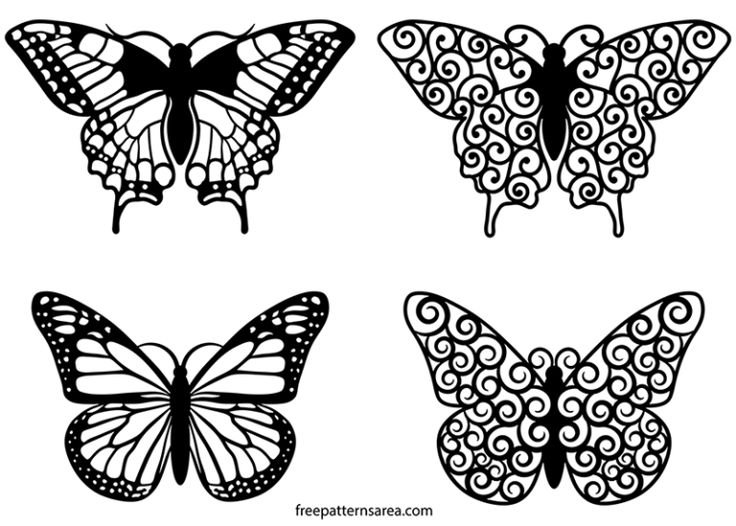 Трафареты бабочки
