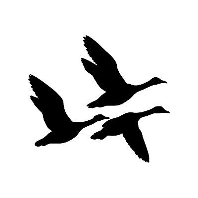 Силуэт птицы в полете