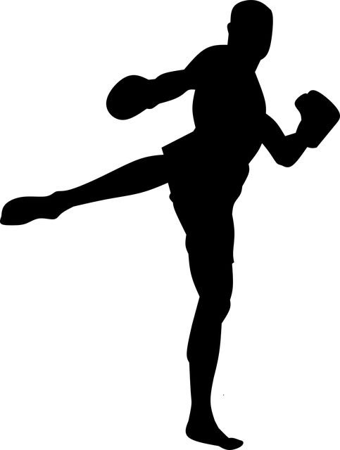 Кикбоксинг трафарет