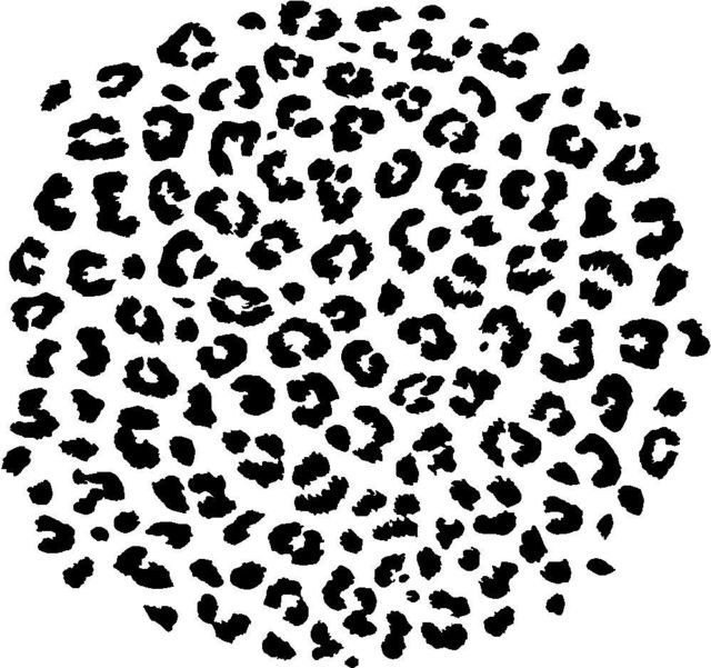 Пятна леопарда без фона