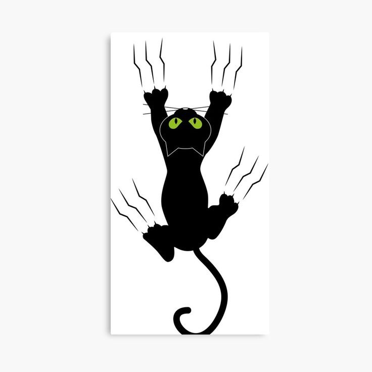 Черный кот силуэт