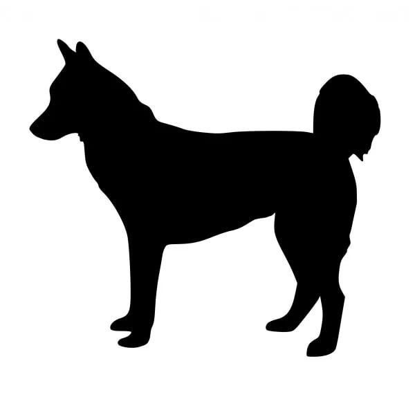 Силуэт собаки