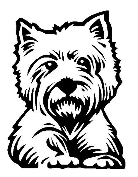 Вест-хайленд-Уайт-терьер контур