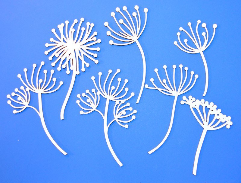 Орнамент укроп