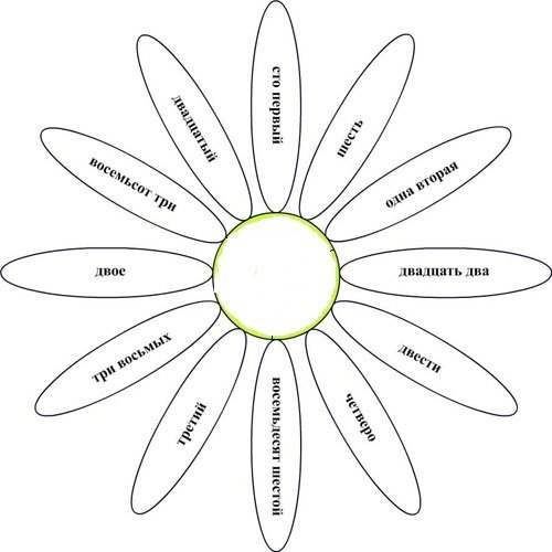 ромашка тринадцать лепестков