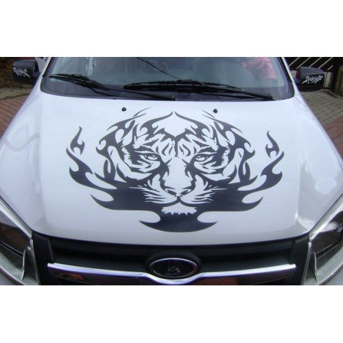 Красивые наклейки на капот автомобиля