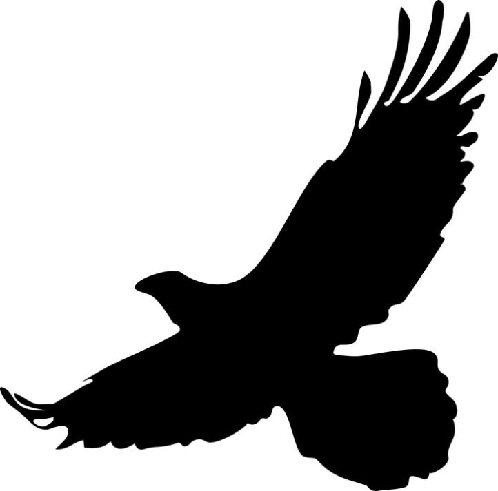 Трафарет орла