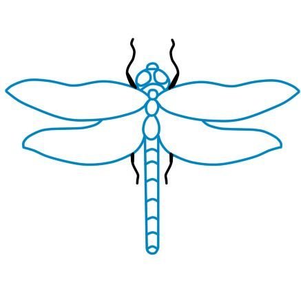 Стрекоза раскраска для детей