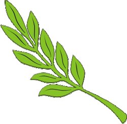 Оливковая ветка