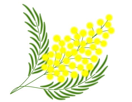 Рисование веточка мимозы