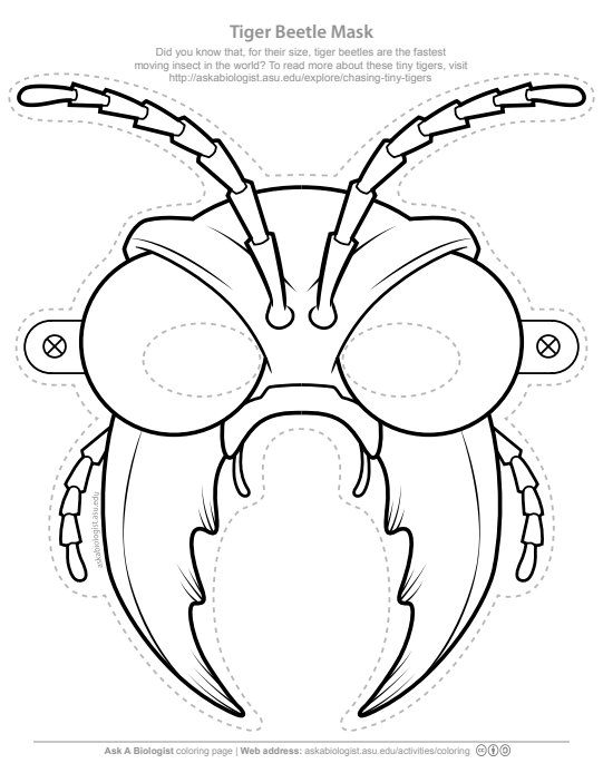 Раскраска маска жука