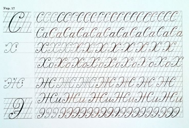 Упражнения по каллиграфии для взрослых