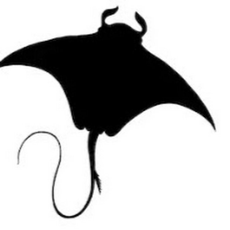 Скат силуэт