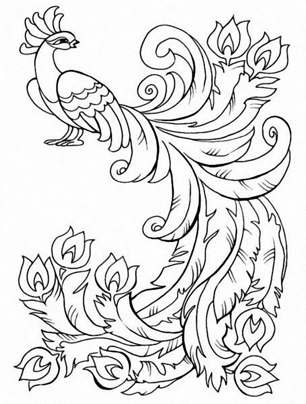 Жар птица раскраска для детей